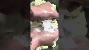 Thick Soft Yellow Pasted Chalk Blocks