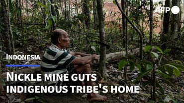 Nickel rush for EVs guts Indonesia tribe's forest home | AFP