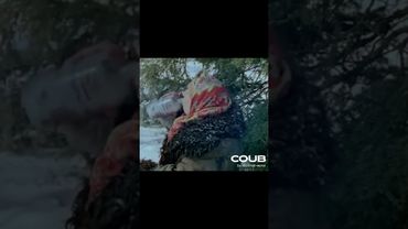 Задумался  #кино #фильм #Морозко #Игры Престолов