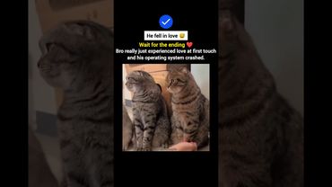 He fell in love ❤️