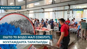 ОШТО 70 БОДО МАЛ СОЮЛУП, МУКТАЖДАРГА ТАРАТЫЛДЫ