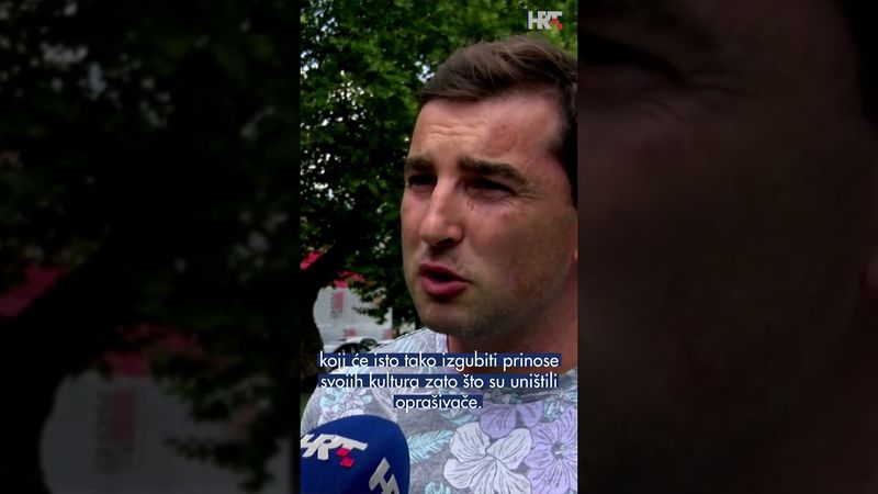 Masovni pomor pčela u istočnoj Slavoniji