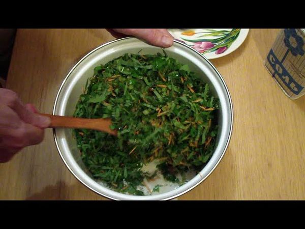 Как заквасить сныть