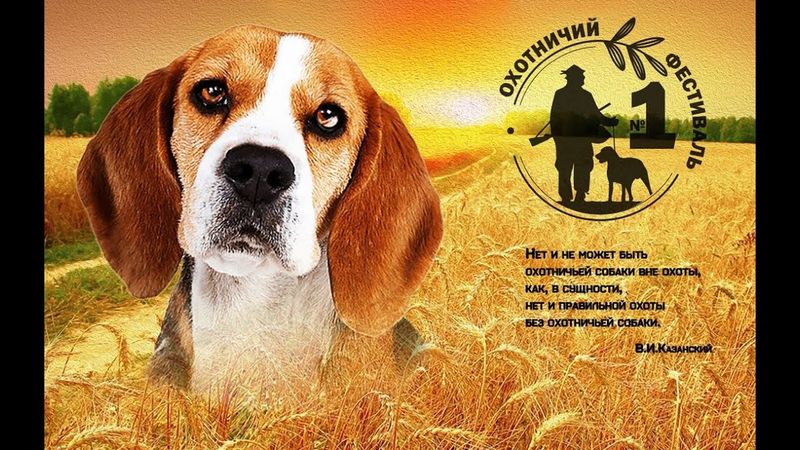 Фестиваль №1