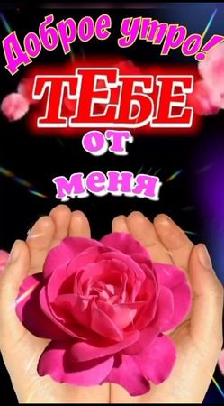 #врекии #подписывайся #врекомендациях😂