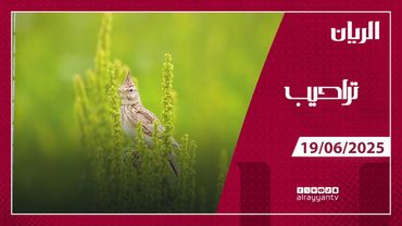 برنامج تراحيب - 19-06-2025