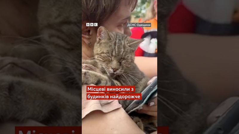 Центр Одеси під масованою російською атакою #shorts #одеса #обстріли