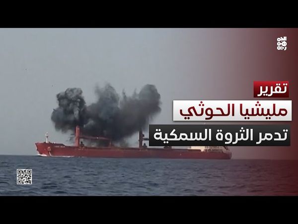 مليشيا الحوثي تدمر الثروة السمكية لليمن في البحر الأحمر