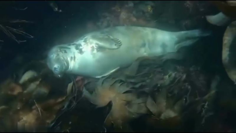 ما يهمني كلشي الراح مني