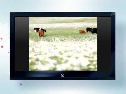 Промо при переходе на 16:9 (Первый канал, 26 мая - 1 июня 2011)