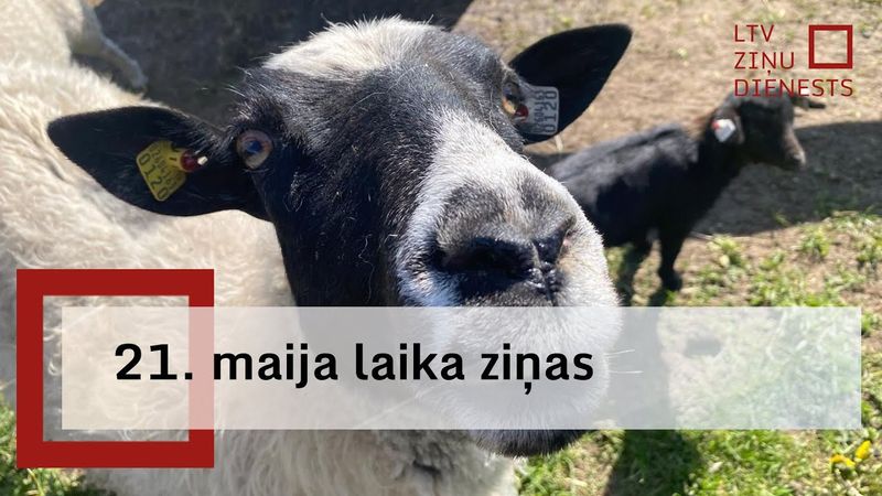 21. maija laika ziņas