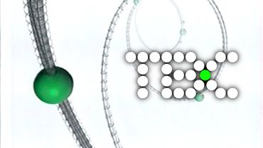 ТВС - Оформление анонсов (2002)