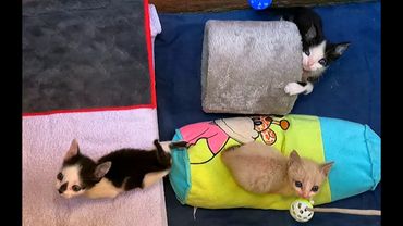 #Славянск. 24 июля 2025г. Утро.