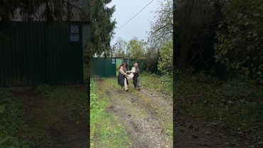 Когда увозят от бабушки из деревни😀 #снамивесело #лабрадор #собака #животные #юмор #humor