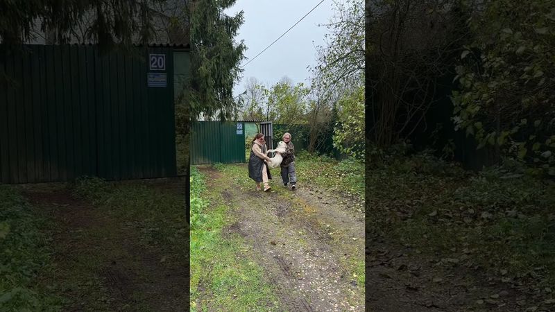 Когда увозят от бабушки из деревни😀 #снамивесело #лабрадор #собака #животные #юмор #humor