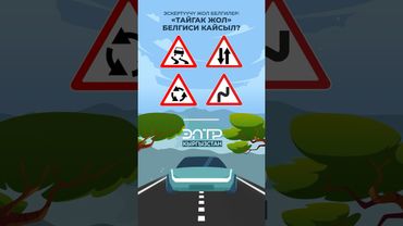 ЭСКЕРТҮҮЧҮ ЖОЛ БЕЛГИЛЕР: “ТАЙГАК ЖОЛ” БЕЛГИСИ КАЙСЫЛ?
