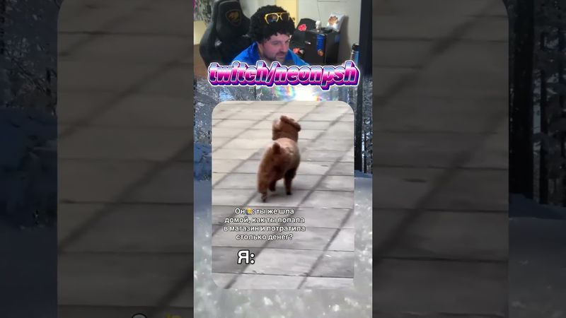 Ветром занесло😂| twitch.tv/neonpsh - розыгрыши и турниры каждый месяц!