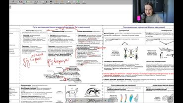 Реанимация. День 18 (часть 1)