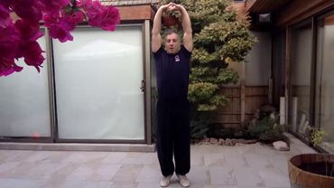 Ejercicios de Chikung - Limpiar los 12 Meridianos Energéticos