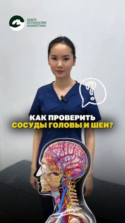 ВНИМАНИЕ! Данное видео предназначено исключительно для ознакомительны...