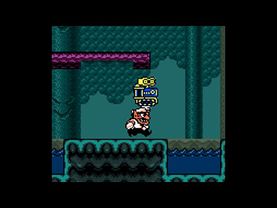 Wario Land 3 Part 74 Forest of Fear Red Chest