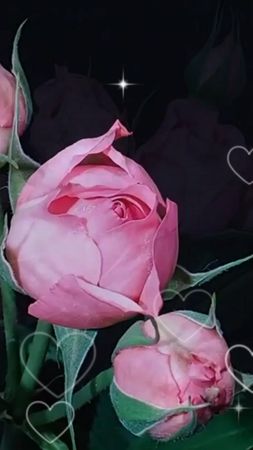 TikTok video #7059353756529347841