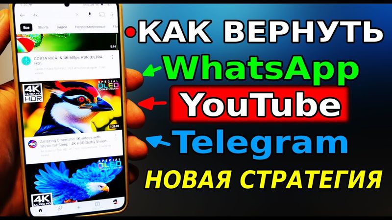 БЕЗ VPN👉 Как обойти блокировку WhatsApp, Ютуб и Телеграм! Как пользоваться Телеграм и WhatsApp чек