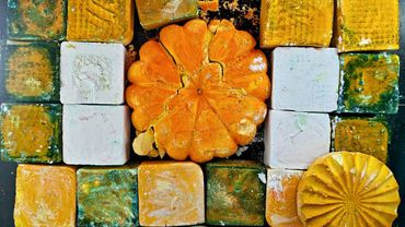 Shade of green & white request by @desielee7659 💚