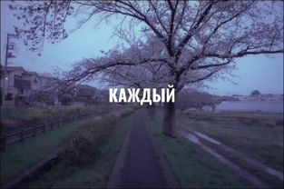 #футаж #липсинги #рекомендации 