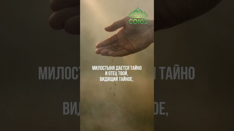 Совет дня: делай добро, не ожидая благодарности