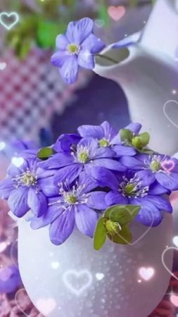 #лето #Haierография #пятница #видеооткрытка #марина2504 #сдобрымутром...