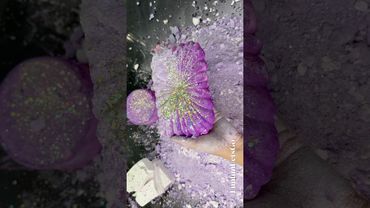 Purple + Baby Oil Crushing