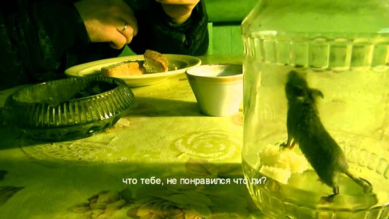 Таловое Масло