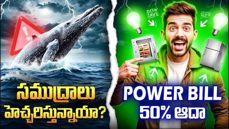 Oarfish & Whales Warning Us? | Energy-Saving Hacks and More | Telugu Facts 😲