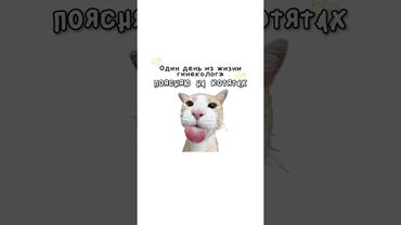 Один день из жизни гинеколога