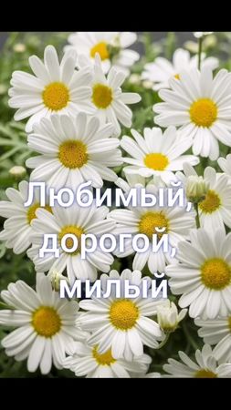 С днем семьи #семья #любовь #любимомумужу