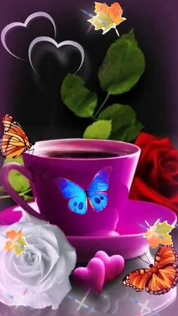 TikTok video #7004563260863220993