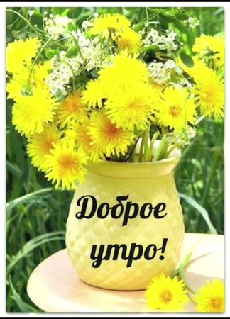 Доброе утроХорошего дня#открыткисдобрымутром
