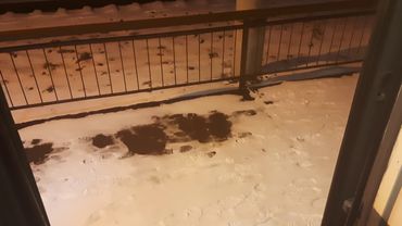 Громкий звук в тамбуре электрички .