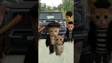 Киса покупает трактор Кировец К-700 #shorts