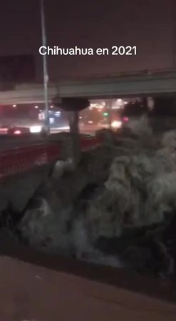 #naturaleza #chihuahua2021#viral_video #viral #video 