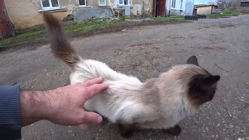 В белом доме..