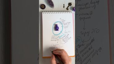 Что такое программа ЛИЧНОСТИ? И как как она формируется?