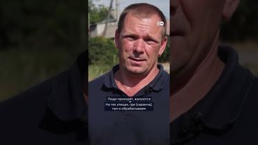 Украина страдает от нашествия саранчи: фермеры в шоке - стаи насекомых пожирают урожай