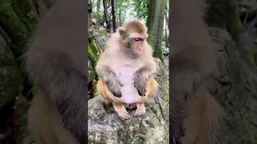 ATÉ EU FIZ VÔMITO AQUI 🤢🤮🥴