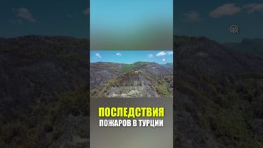 Кадры последствия пожаров в Турции: огонь выжег леса