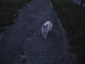 #fy #viral #foryou #lirycs #lirycs_music