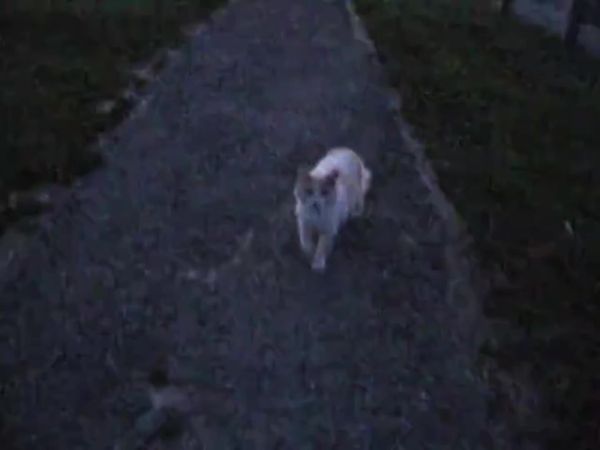 #fy #viral #foryou #lirycs #lirycs_music 