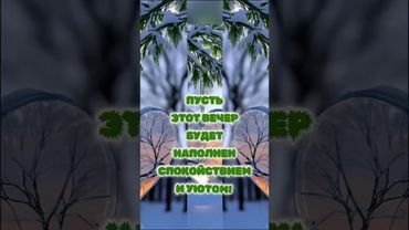 Добрый вечер #доброговечера