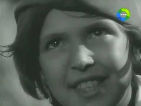 Завещание старого мастера